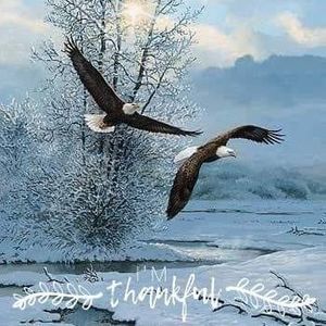 Meet your Posher, Dinah